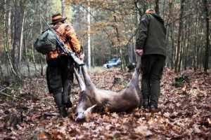 Браконьєрство Браконьєрство